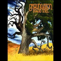 Groundation: Young tree