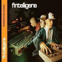 Fintelligens : Kokemusten summa