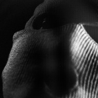 Julma H : Musta albumi