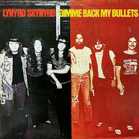 Lynyrd Skynyrd: Gimme Back My Bullets