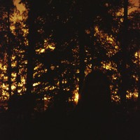 Nousiainen, Jukka : Jukka Nousiainen