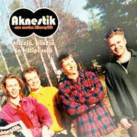Aknestik : Hittejä, piisejä ja hittipiisejä