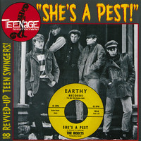 V/A: Teenage Shutdown - She's a Pest!