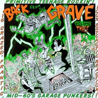 V/A: Back From the Grave 3