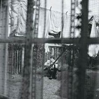 McCartney, Paul: Chaos And Creation In The Backyard