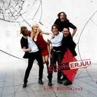 Elonkerjuu : Ilon pirstaleet