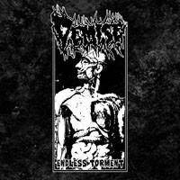 Demise (Usa): Endless Torment