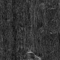 Remissions : Ultra Vires