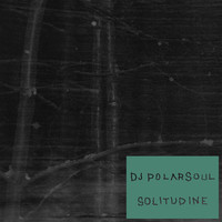 DJ Polarsoul : Solitudine
