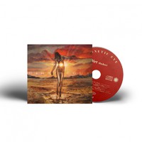 Alice In Chains -tribute-: Dirt (Redux)