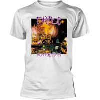 Prince : Sign o' the times