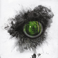 Swallow The Sun : Emerald forest and the blackbird