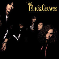 Black Crowes : Shake your money maker