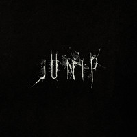 Junip : Junip