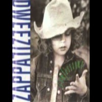 Zappa, Dweezil : Confessions