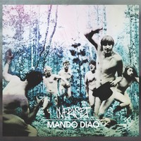 Mando Diao: Infruset