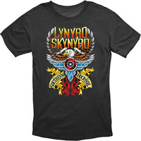 Lynyrd Skynyrd: Southern Rock & Roll