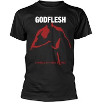 Godflesh : A world lit only by fire