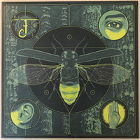 Cantrell, Jerry : Brighten