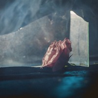 Ranaldo, Lee : In virus times