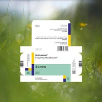 Spiritualized: Everything was beautiful