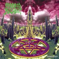 Morbid Angel : Domination