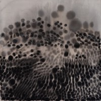 Asa / Asa Bäänd II : Siemeniä