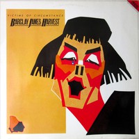 Barclay James Harvest: Victims Of Circumstance