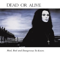 Dead Or Alive: Mad, bad and dangerous to know