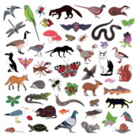 Modern Nature: Island of noise