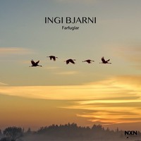 Ingi Bjarni: Farfuglar