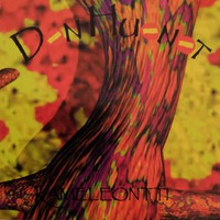 Don Huonot : Kameleontti
