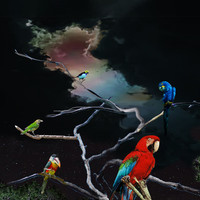 Alex G: Live from Union Transfer