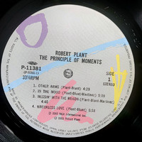 Plant, Robert: The Principle Of Moments