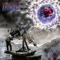 Pattern-Seeking Animals: Spooky Action at a Distance