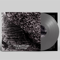 Precambrian : Glaciology -silver-