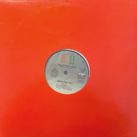 Stray Cats : Reckless