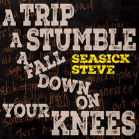 Seasick Steve: A Trip A Stumble A Fall Down On Your Knees
