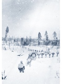 Palokoro: Vapaat miehet kulkemaan