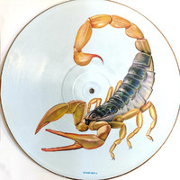 Scorpions: Big City Nights - Picture Disc