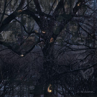 Trelldom : ...By The Shadows...