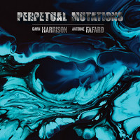 Harrison, Gavin / Fafard, Antoine : Perpetual Mutations