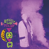 Rosita Luu : Yöeläin