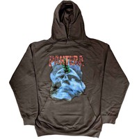 Pantera: Far beyond driven world tour