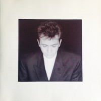 Gabriel, Peter : Shakin the tree