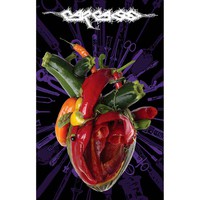 Carcass : Torn arteries