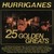 Hurriganes : 25 golden greats - Käytetty CD
