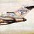 Beastie Boys : Licensed To Ill - Käytetty LP