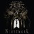 Diabolical Masquerade : Nightwork - CD