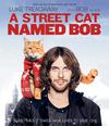 A street cat named Bob